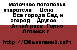 маточное поголовье старателя  › Цена ­ 3 700 - Все города Сад и огород » Другое   . Алтай респ.,Горно-Алтайск г.